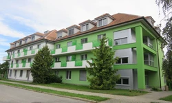 Dům zvl&aacute;&scaron;tn&iacute;ho určen&iacute; Podiv&iacute;n